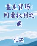 重生官场：问鼎权利之巅