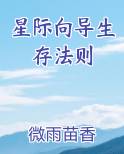 星际向导生存法则