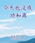 今天也没成功和离