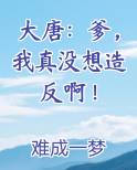 大唐：爹，我真没想造反啊！