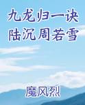 九龙归一诀陆沉周若雪
