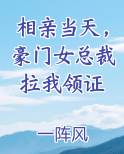 相亲当天，豪门女总裁拉我领证