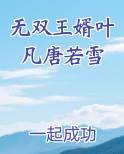 无双王婿叶凡唐若雪