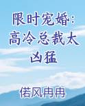 限时宠婚：高冷总裁太凶猛