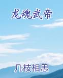 龙魂武帝