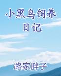 小黑鸟饲养日记