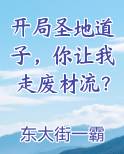 开局圣地道子，你让我走废材流？小说下载