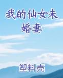 我的仙女未婚妻