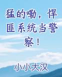猛的嘞，悍匪系统当警察！