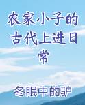 农家小子的古代上进日常