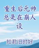 重生后元帅总是在崩人设