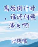 离婚倒计时七天的小说
