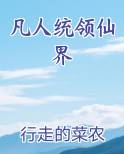 凡人统领仙界