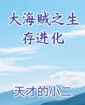 大海贼之生存进化