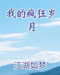 我的疯狂岁月