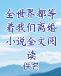全世界都等着我们离婚小说全文阅读