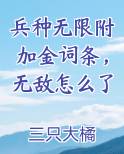 兵种无限附加金词条，无敌怎么了