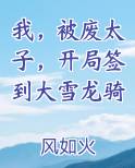 我，被废太子，开局签到大雪龙骑