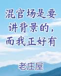 混官场是要讲背景的，而我正好有