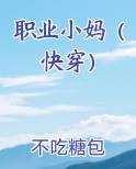 职业小妈（快穿）