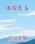 镇国医圣