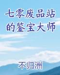 七零废品站的鉴宝大师