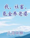 我，社畜，氪金养老婆免费听书