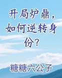 开局炉鼎，如何逆转身份？