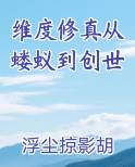 维度修真从蝼蚁到创世