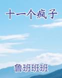 十一个疯子